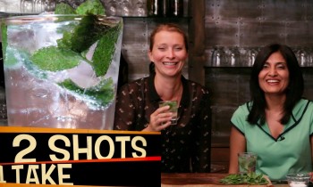 Cocktails with Hetal from ShowMeTheCurry! Gin Julep