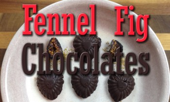 Delicious Fennel Fig Chocolates