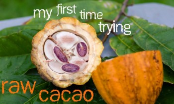 My first time trying raw cacao (and how it changed my life!)