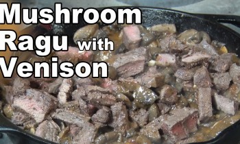 Mushroom Ragu with Venison